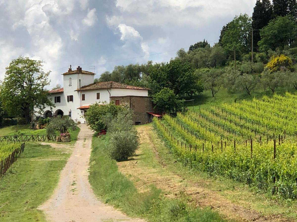 Azienda Agricola Il Poggiolino Pelago Exterior photo