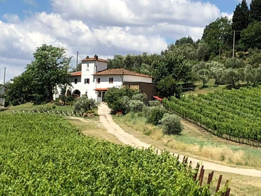 Azienda Agricola Il Poggiolino Pelago Exterior photo