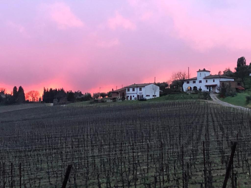 Azienda Agricola Il Poggiolino Pelago Exterior photo